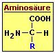 Die chemische Strukur einer Aminosure ist immer gleich.