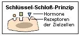 Schlssel-Schloss-Prinzip