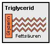Triglyceride bestehen aus einem Molekl Gycerin und drei Fettsuren.